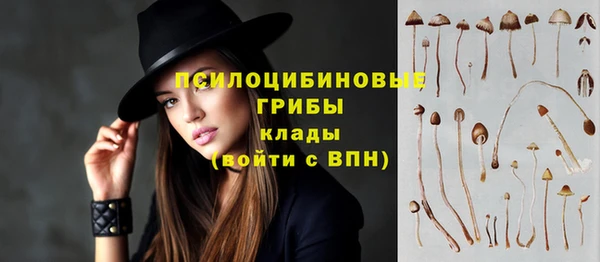 эйфоретик Наволоки
