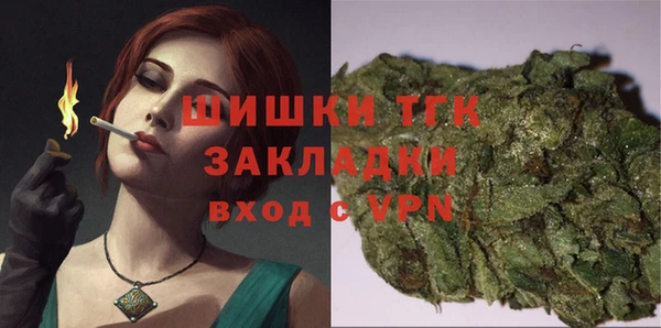 тгк Бикин