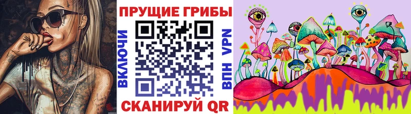 где можно купить   кракен как зайти  Галлюциногенные грибы Psilocybe  Донской 